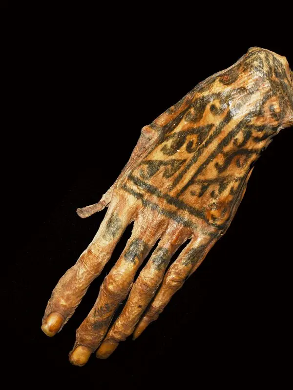Mummies’ Ancient Tattoos Come Under Laser Focus