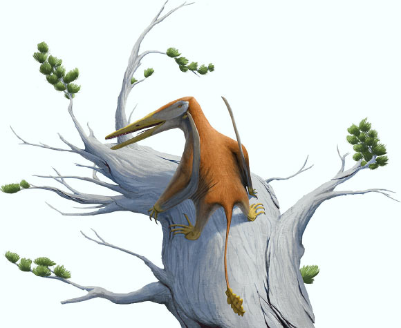 New Pterosaur Species Unearthed in Argentina is Earliest of Its Kind