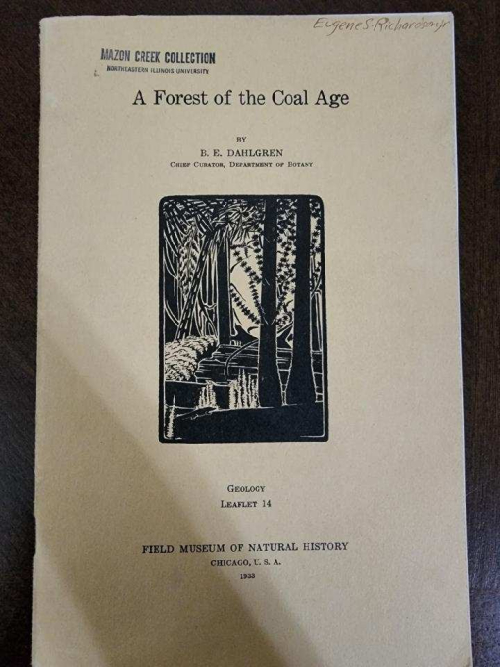 Mazon Monday #255: A Forest of the Coal Age