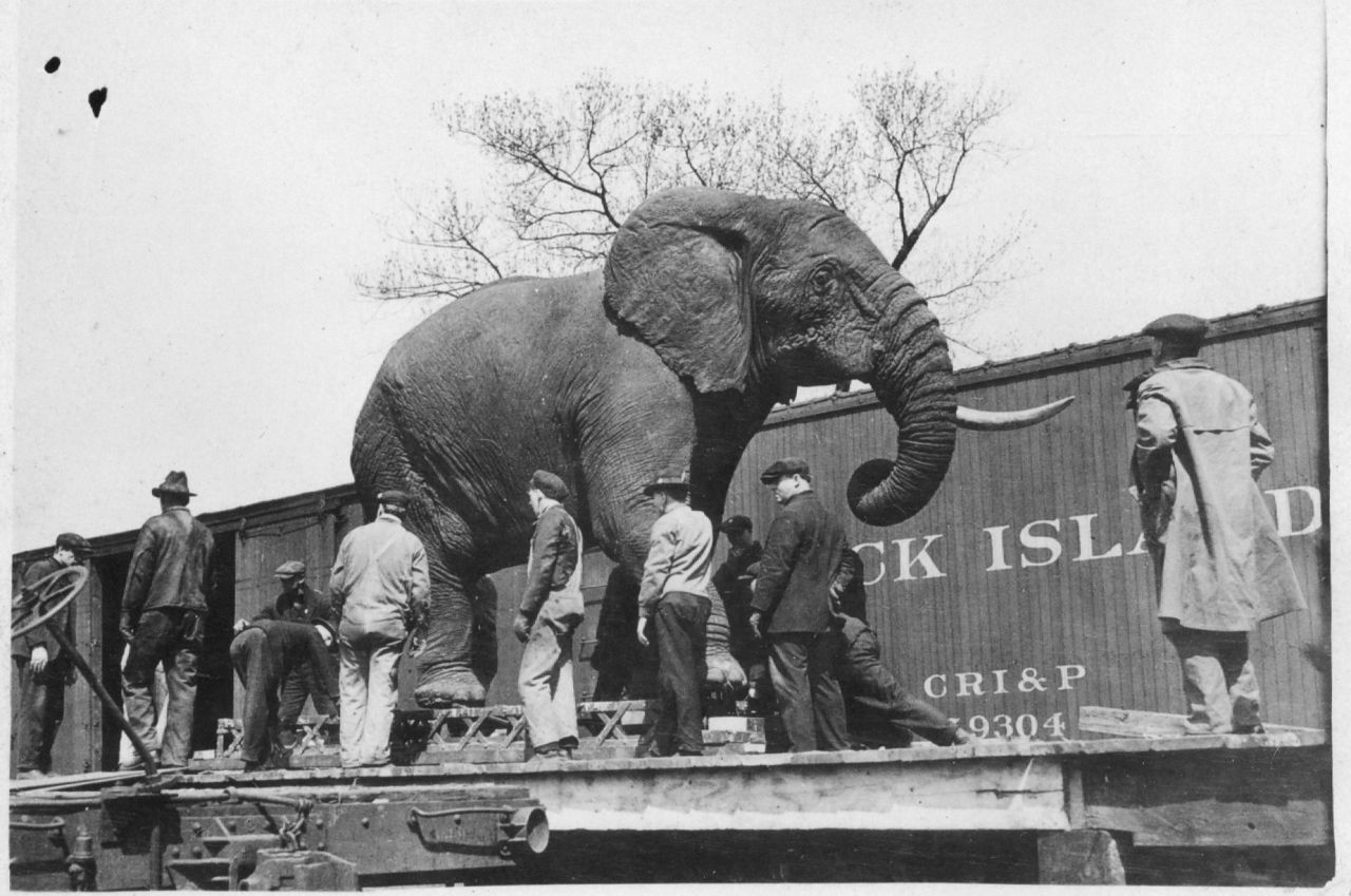Throwback Thursday #258: Field Museum in March 1920