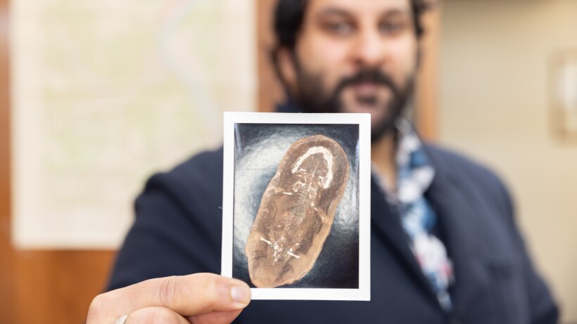 Mazon Monday #260: Mazon Creek and the Field Museum in the News!