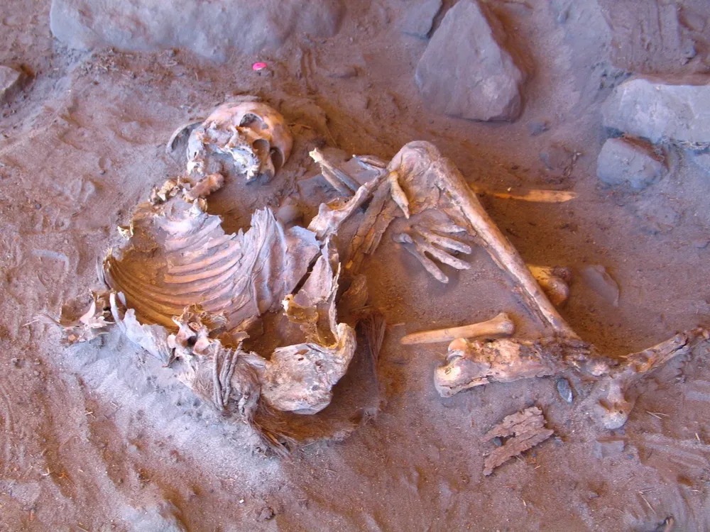 7,000-Year-Old Skeletons From the ‘Green Sahara’ Reveal a Mysterious Human Lineage