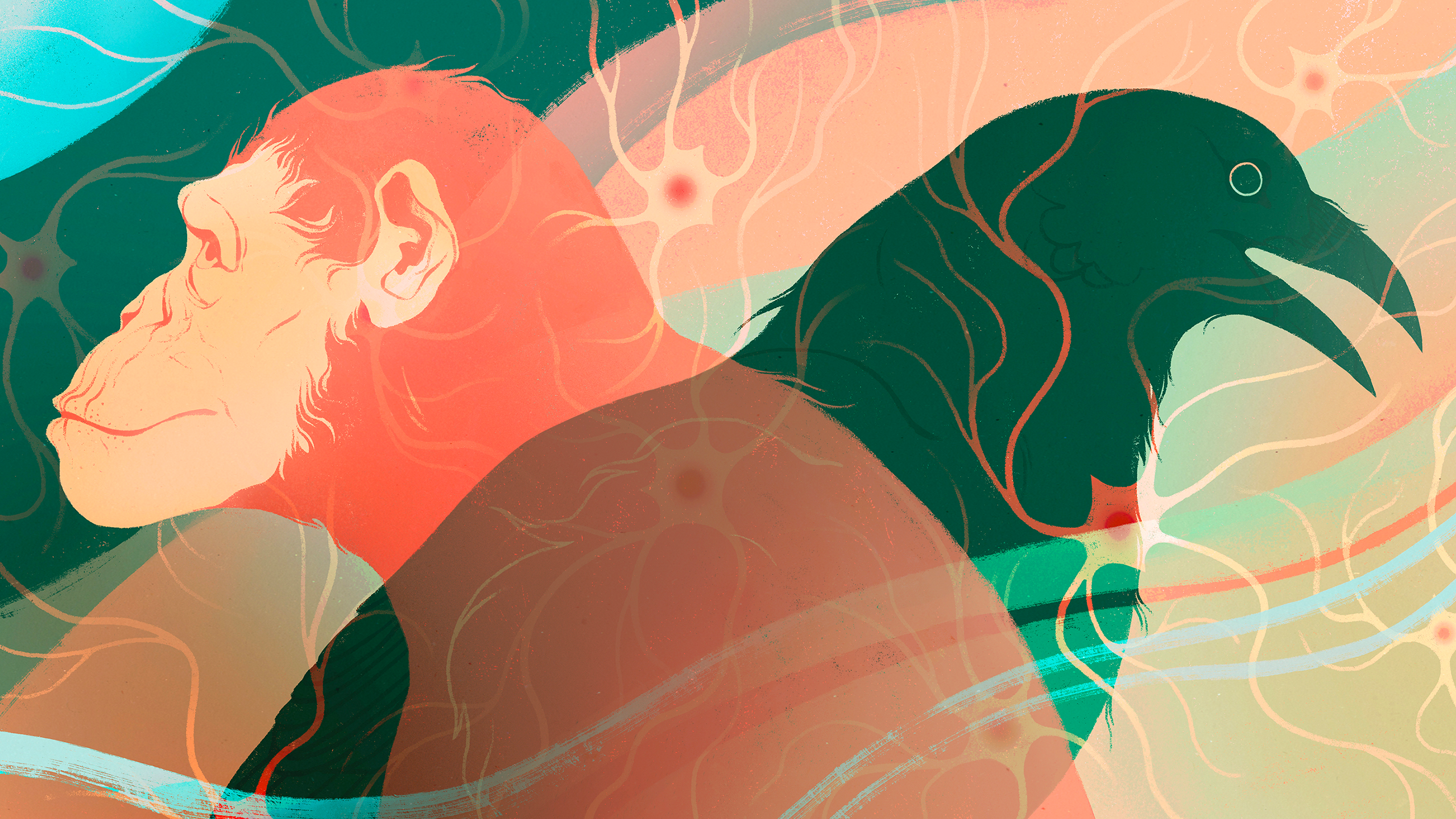 Intelligence Evolved at Least Twice in Vertebrate Animals