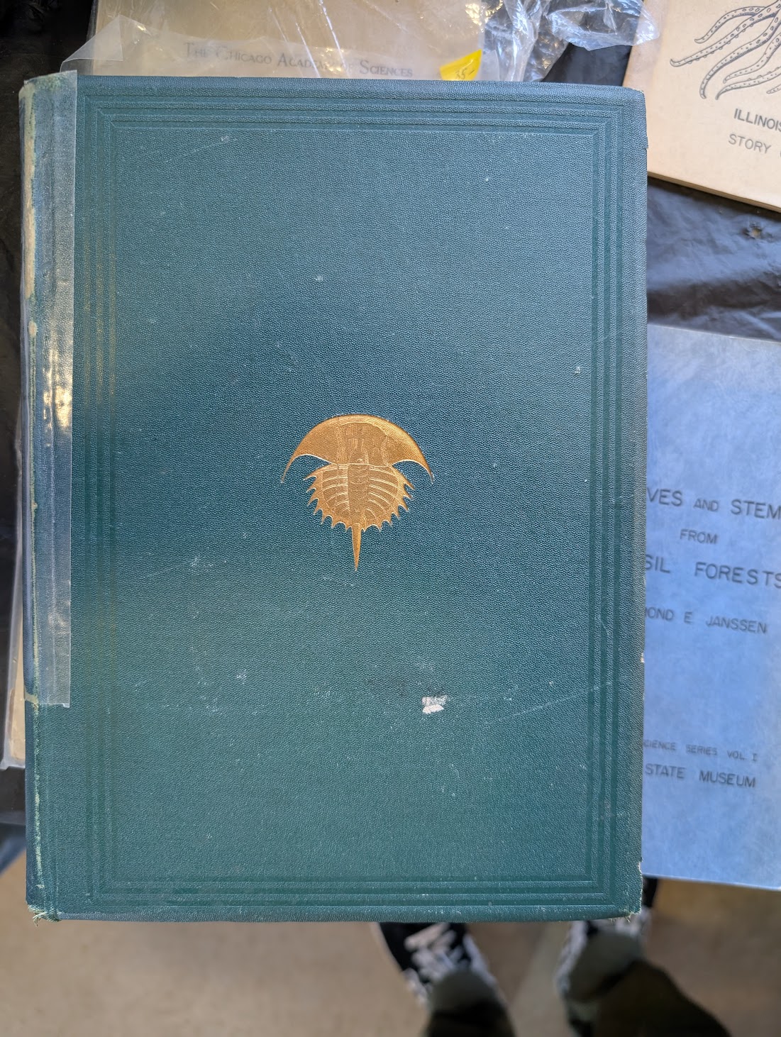 Throwback Thursday #265: Old Books at MAPS