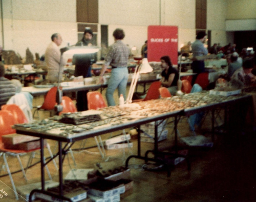 Throwback Thursday #264: MAPS #5 and #31