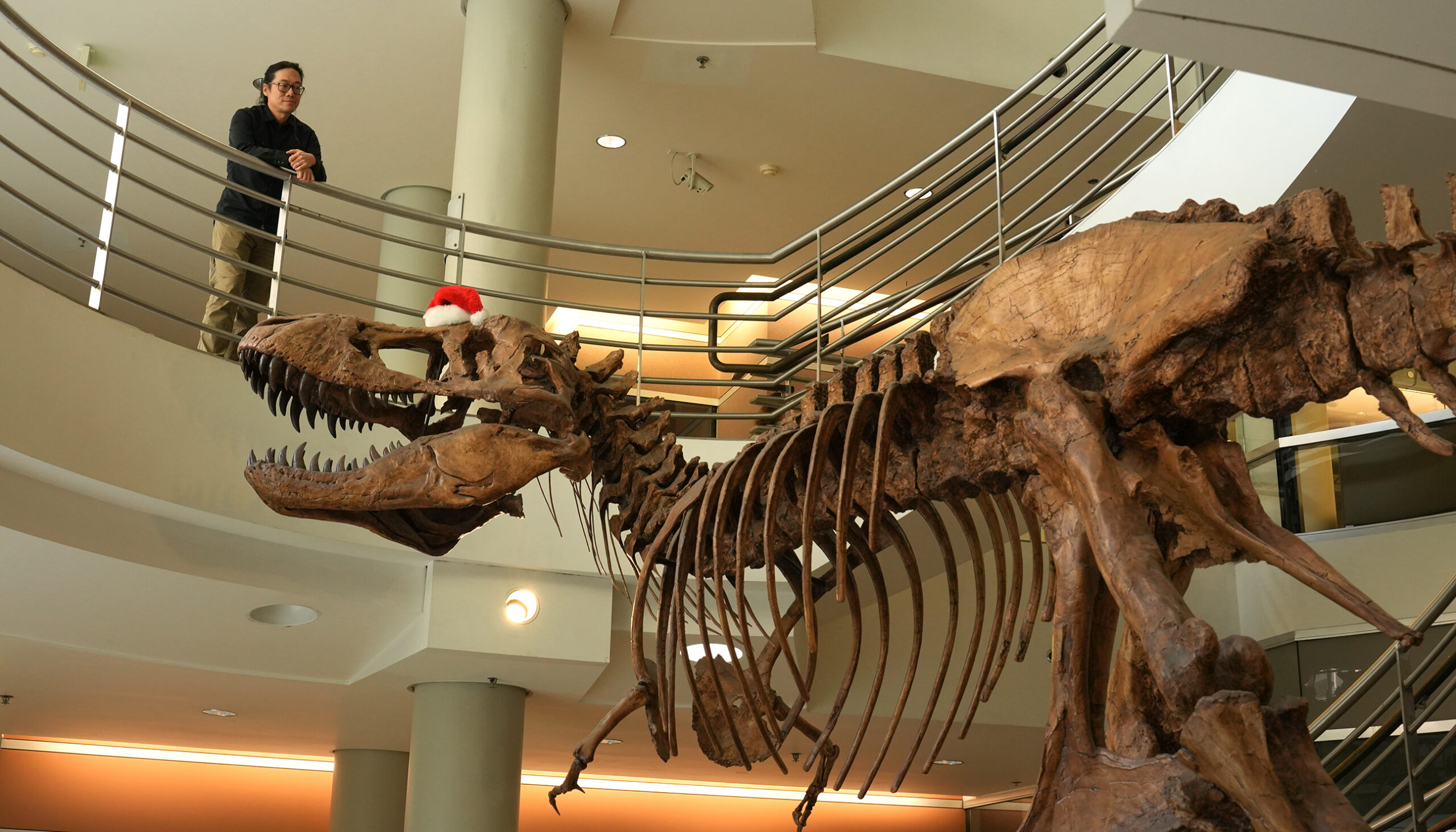 A T-Rex with feathers? Scientists say dinosaurs were likely different from what most of us picture