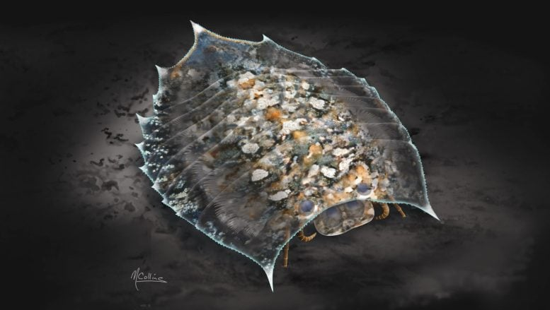 Harvard Scientists Solve 100-Year Mystery of Bizarre 508-Million-Year-Old Arthropod