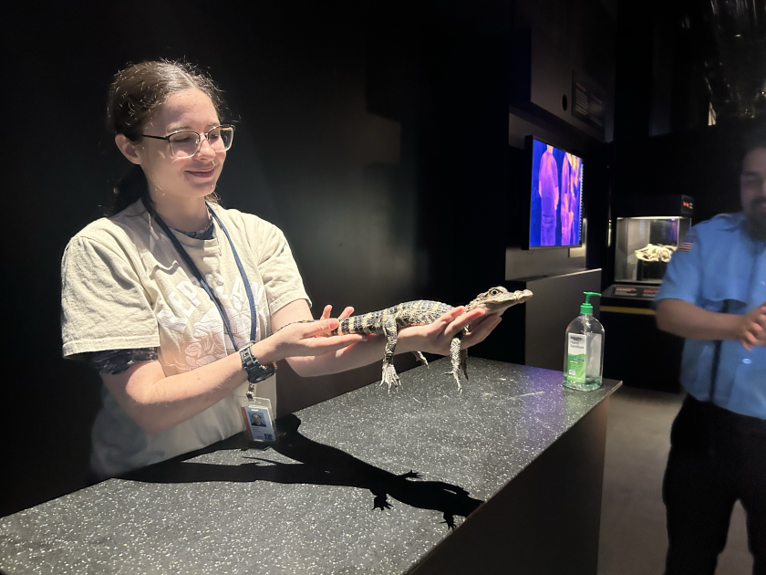 Reptiles Alive! exhibit opens at Field Museum