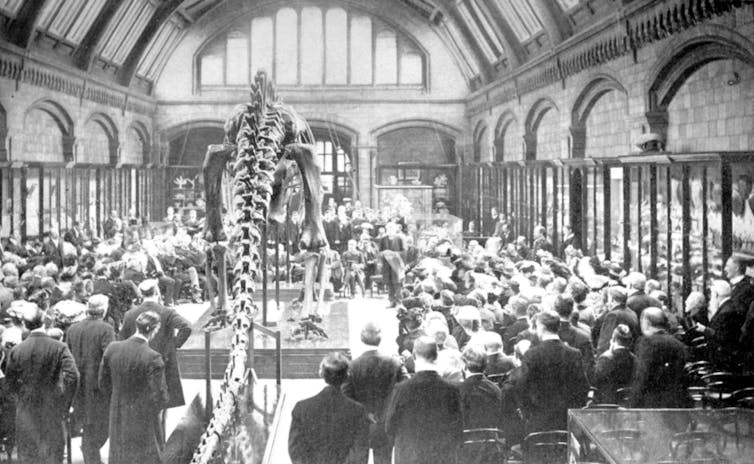 The Conversation: Why Dippy the dinosaur remains beloved, 120 years after arriving at the Natural History Museum