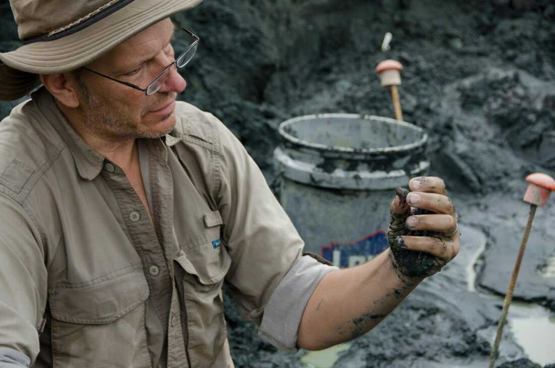 The Day The Dinosaurs Died : Up First from NPR