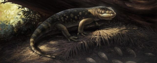 Scientists Discover ‘Goblin Prince’ That Roamed With Dinosaurs