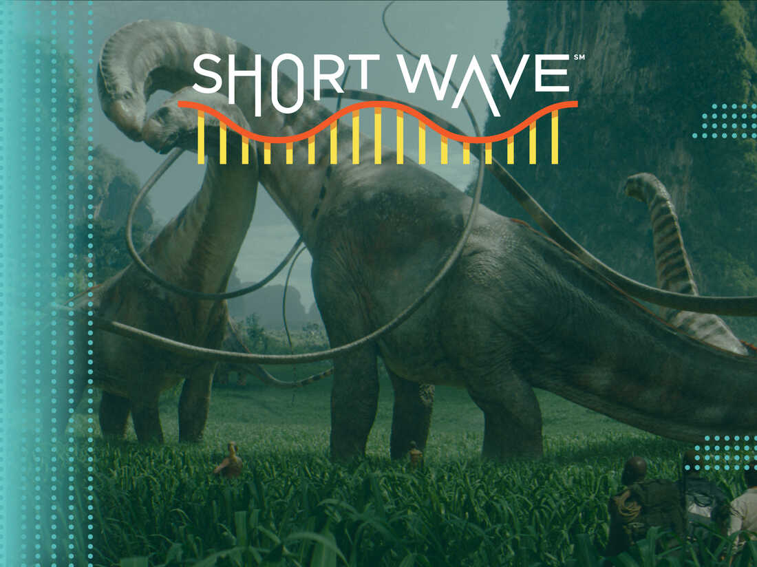 NPR Short Wave: How realistic are movie dinosaurs?