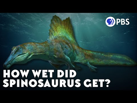 PBS Eons: Why Paleontologists Can’t Stop Fighting About Spinosaurus
