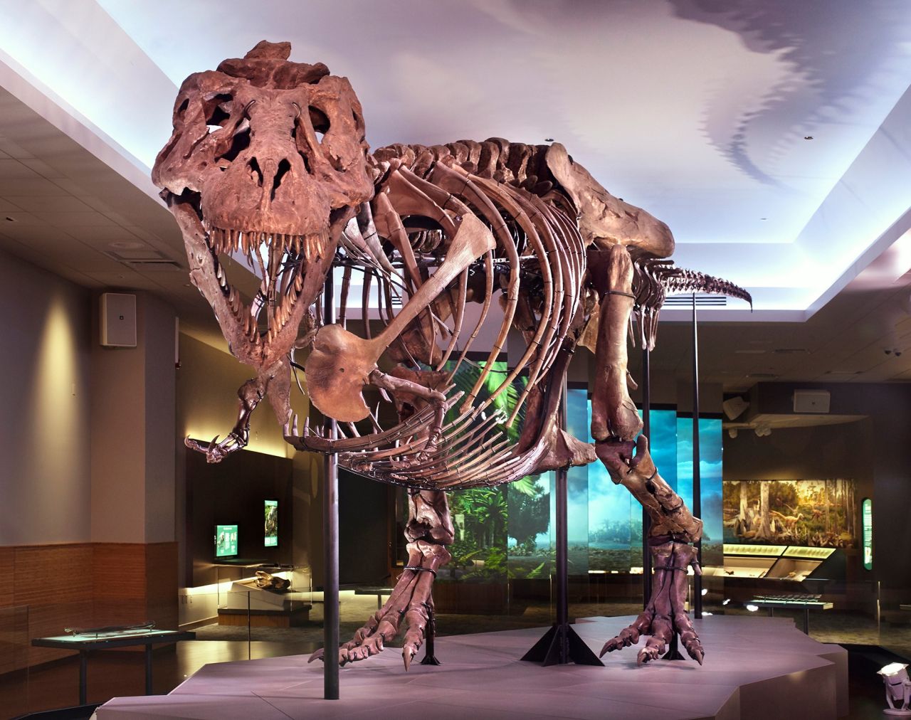 Happy 32nd Unearth Day, SUE!