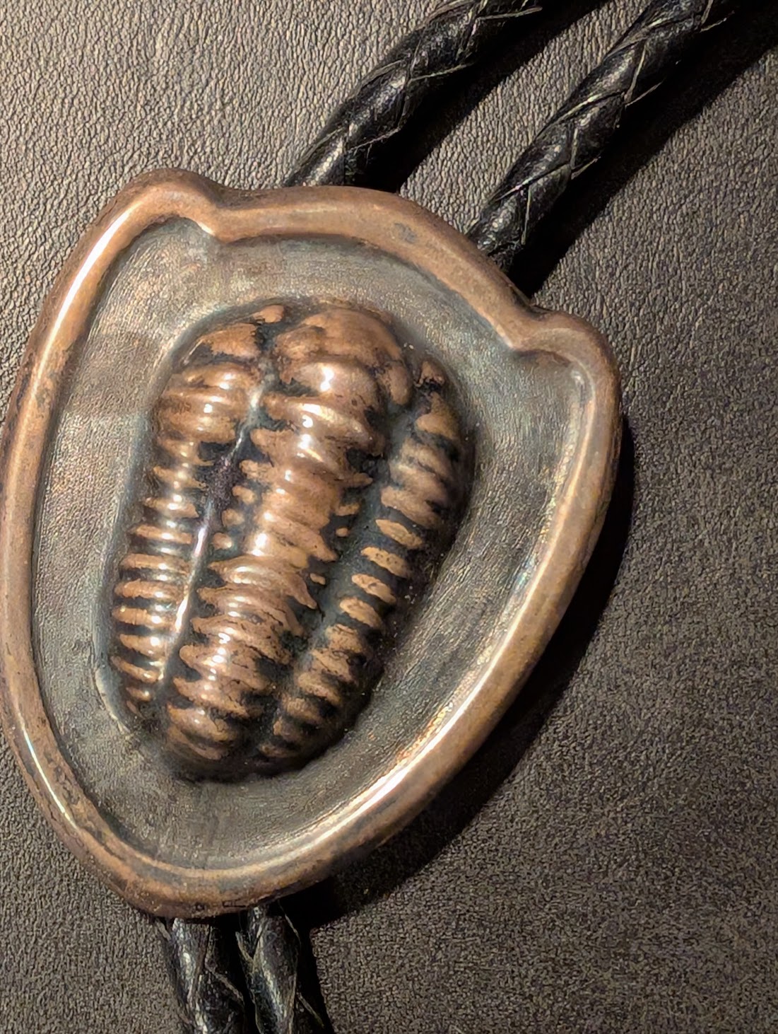 Throwback Thursday #278: Silver Tullies and Trilobites