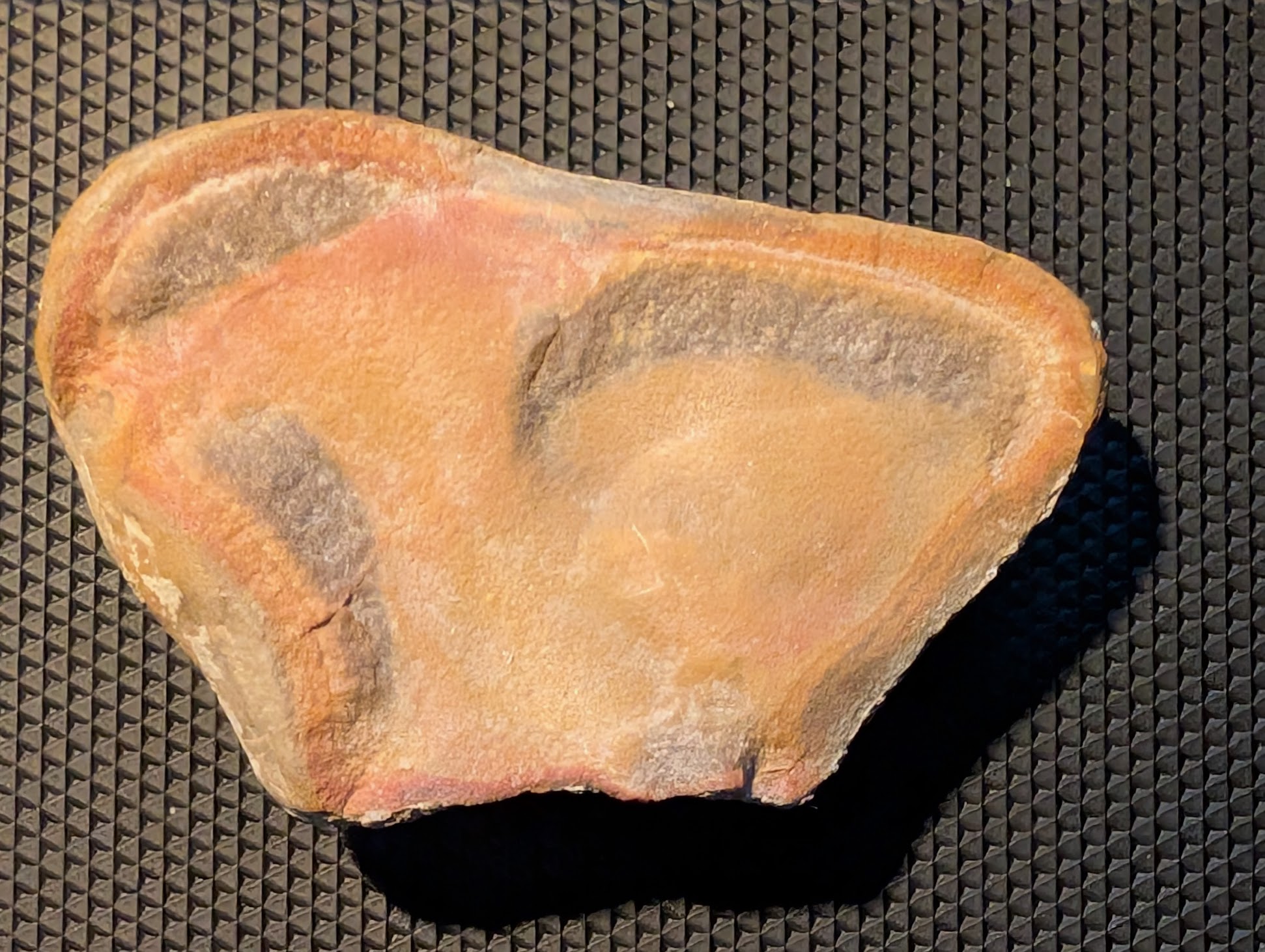 Mazon Monday #285:  Etacystis communis