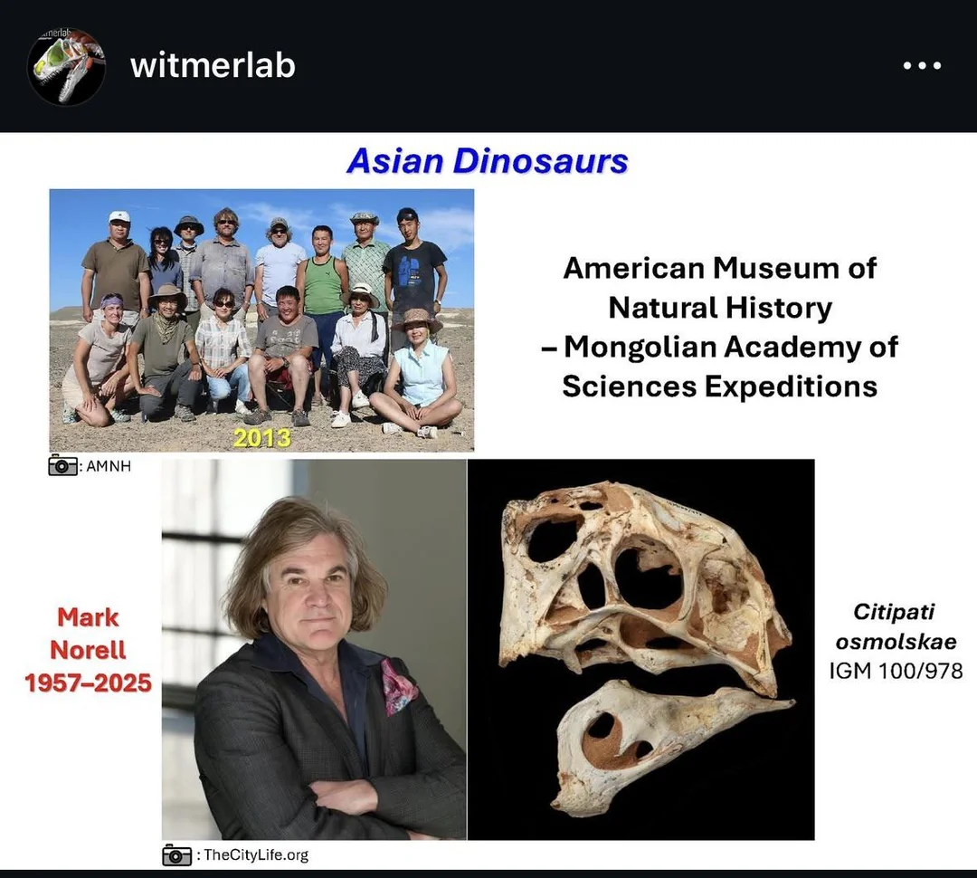 Paleontologist Mark Norell (Coolest Dude Alive) RIP (1957-2025)