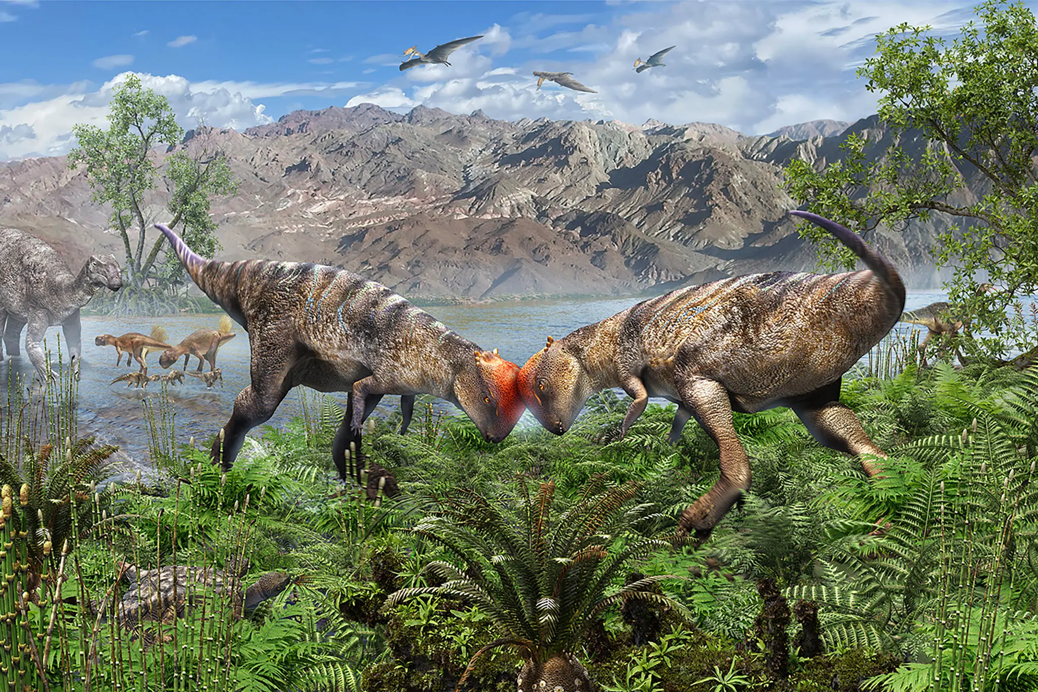 ‘Shockingly Beautiful’ Fossil Reveals Oldest Dome-Headed Dinosaur