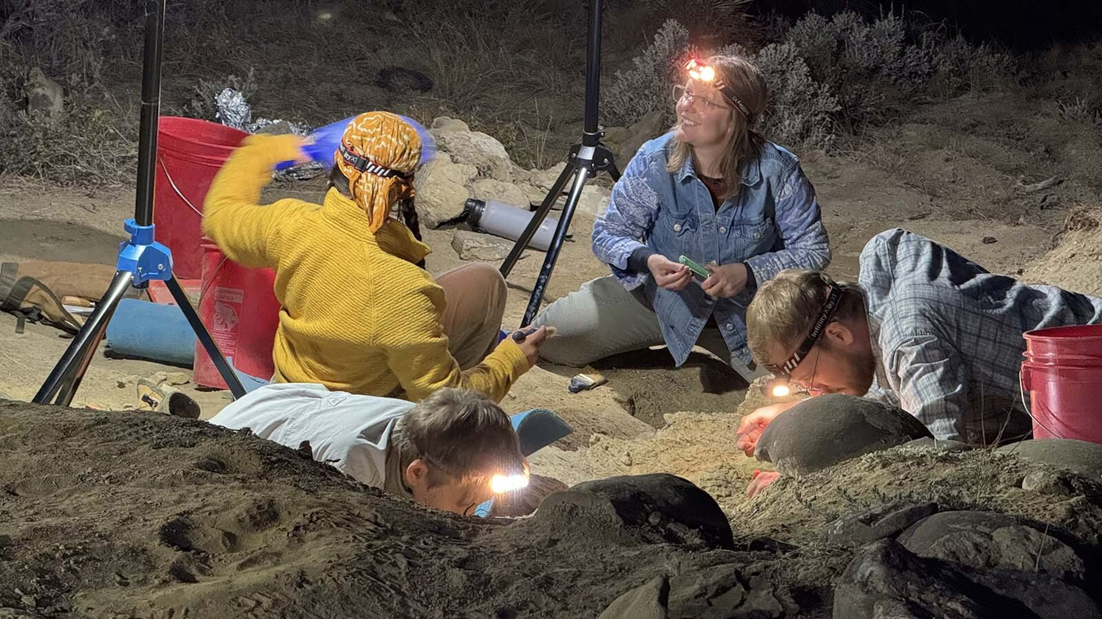 Digging Wyoming: People Flock To Glenrock To Dig for Dinosaurs In The Dark