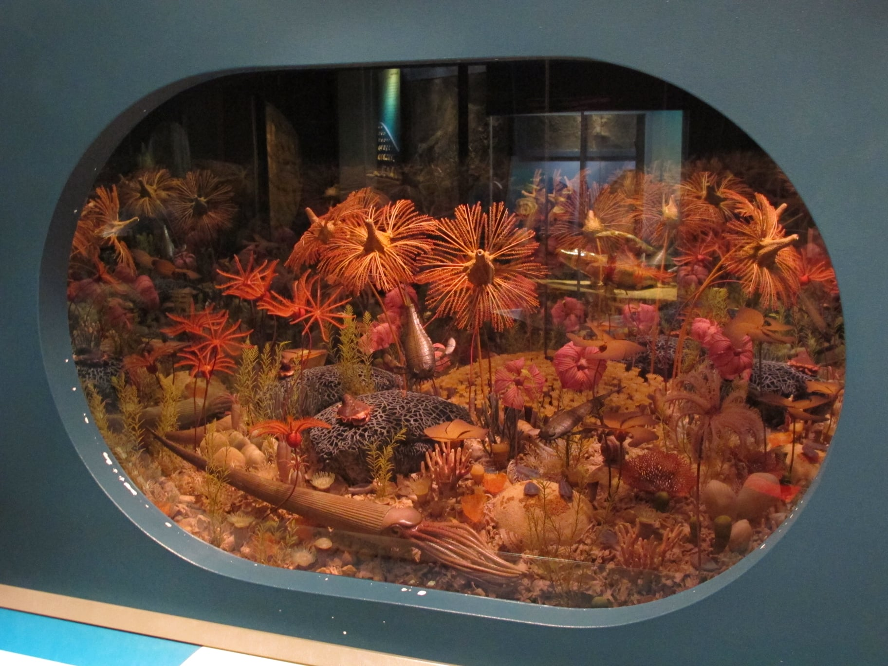 Hidden Secret in the Field Museum’s Silurian Diorama