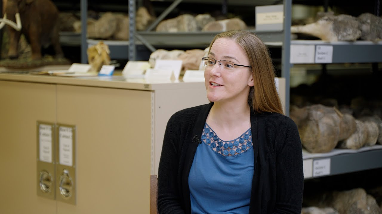 ESCONI November 2025 General Meeting – November 14th, 2025 at 8:00 PM via Zoom – “Mammals of Illinois’ Ice Ages”