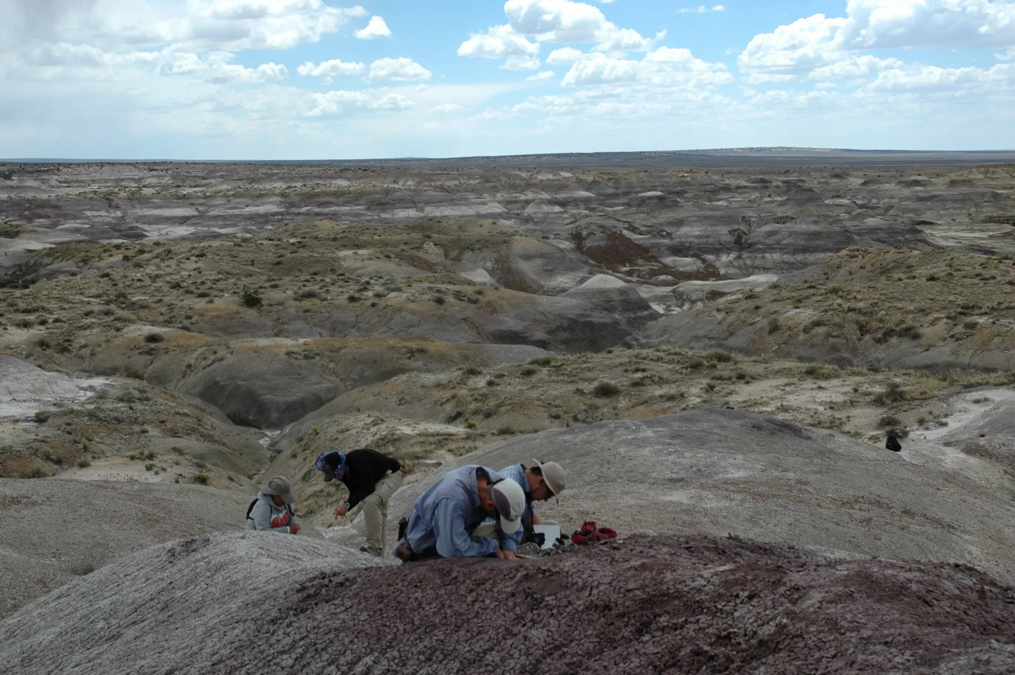Fossils of Some of the Last Dinosaurs in North America Have a Story to Tell