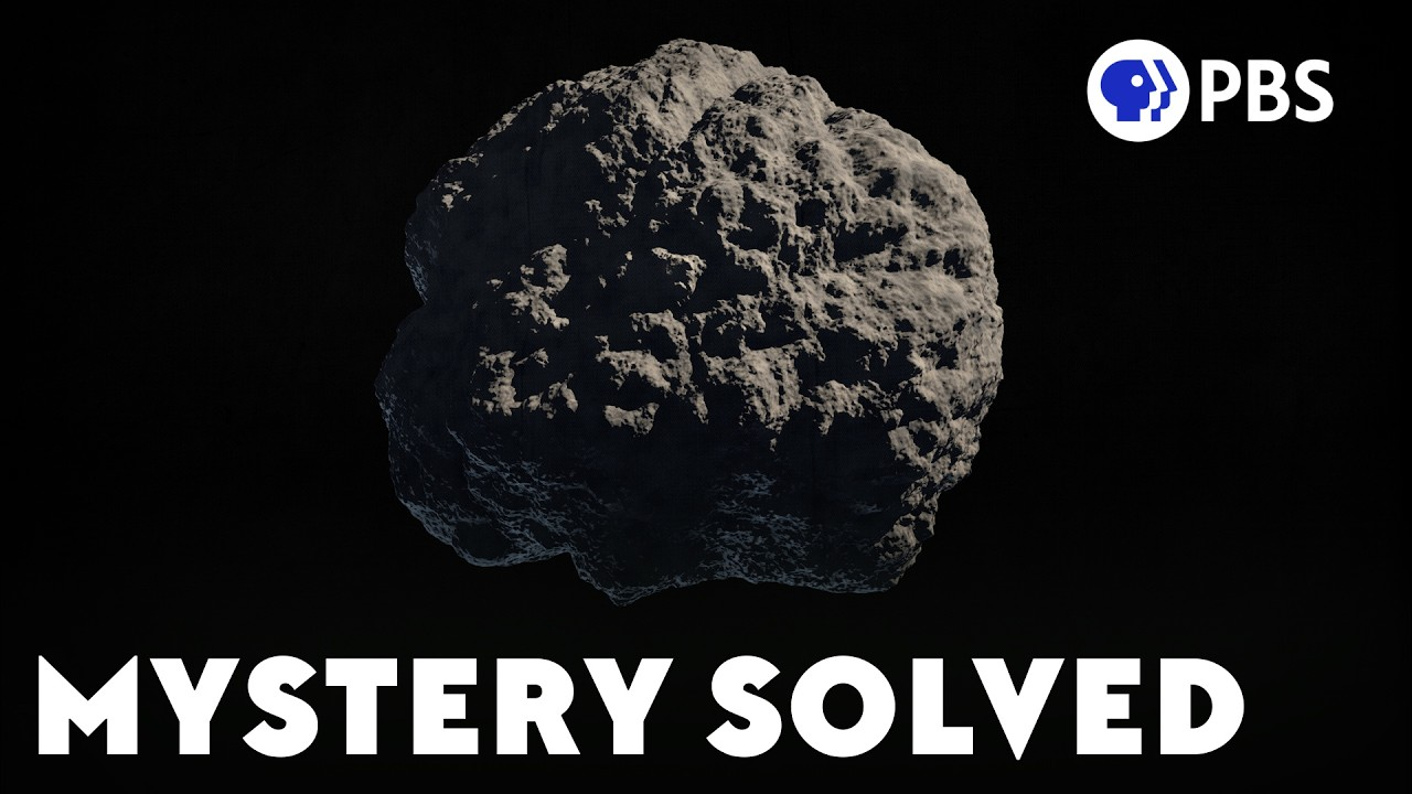 PBS Eons: How We Figured Out an Asteroid Killed the Dinosaurs