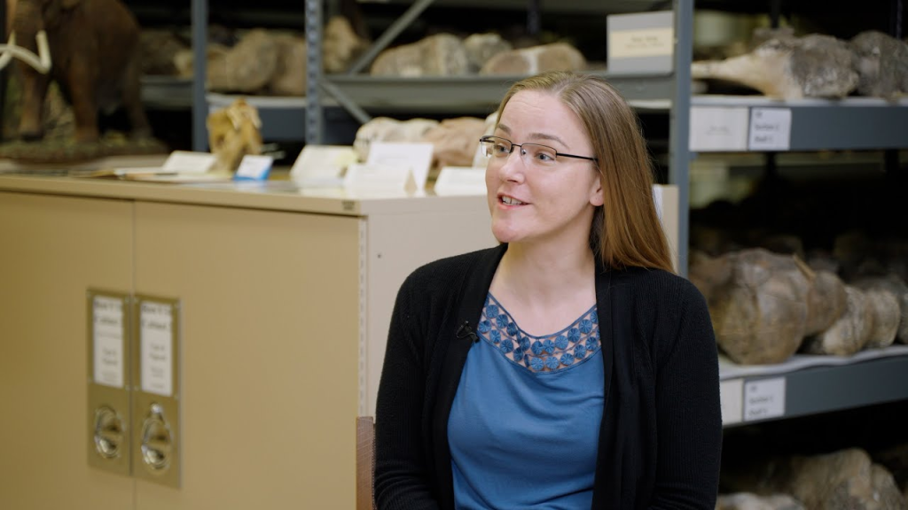 Video for ESCONI November 2025 General Meeting – “Mammals of Illinois’ Ice Ages”