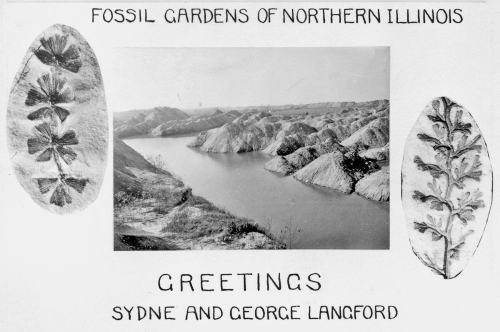 Throwback Thursday #297: Season’s Greetings from the Langfords!