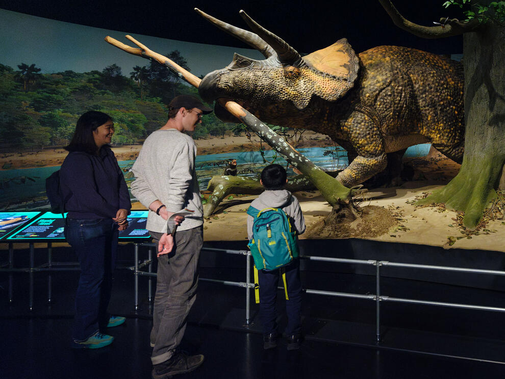 Adam Savage at the American Museum of Natural History