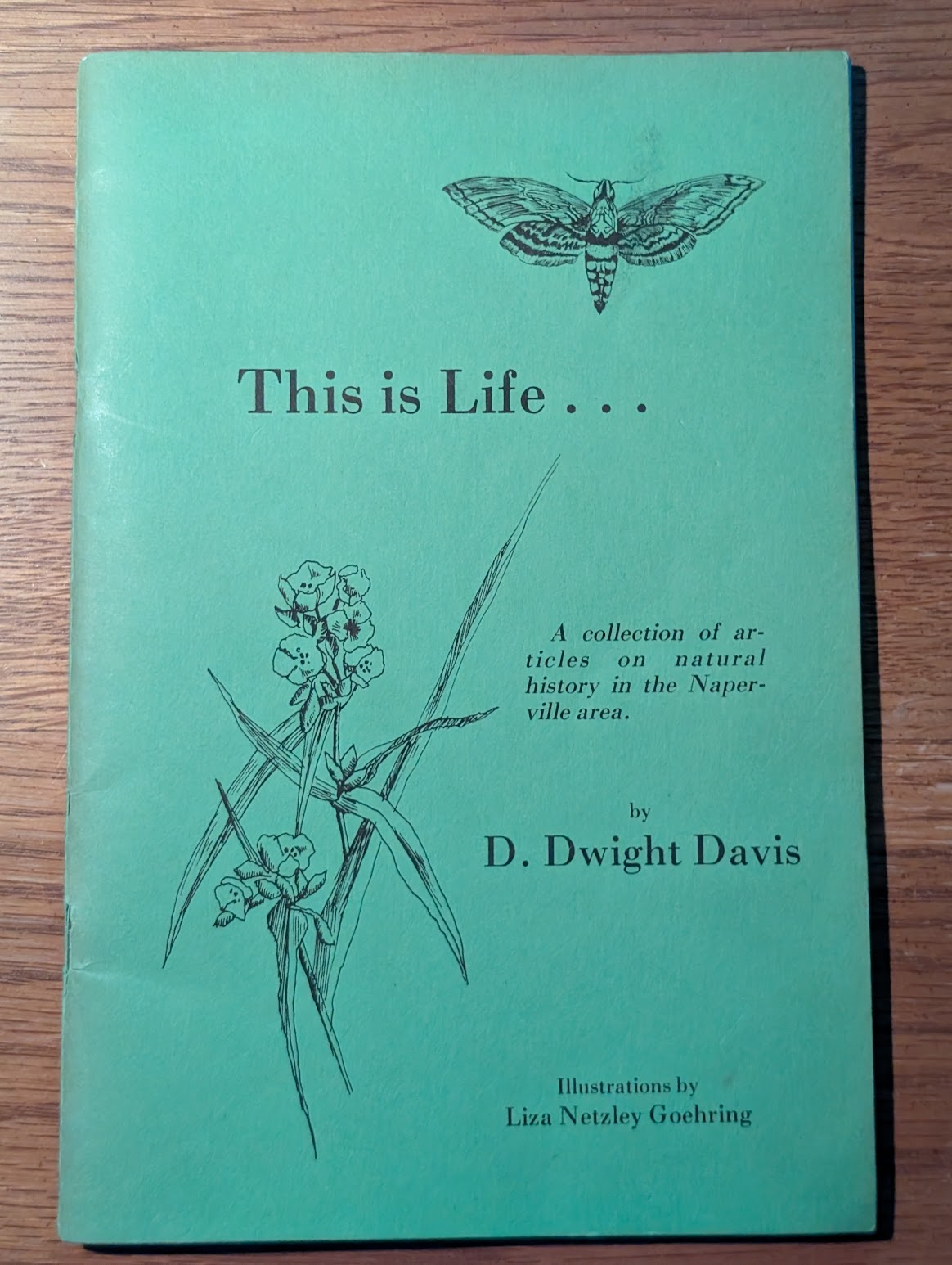 Throwback Thursday #306: This is Life…