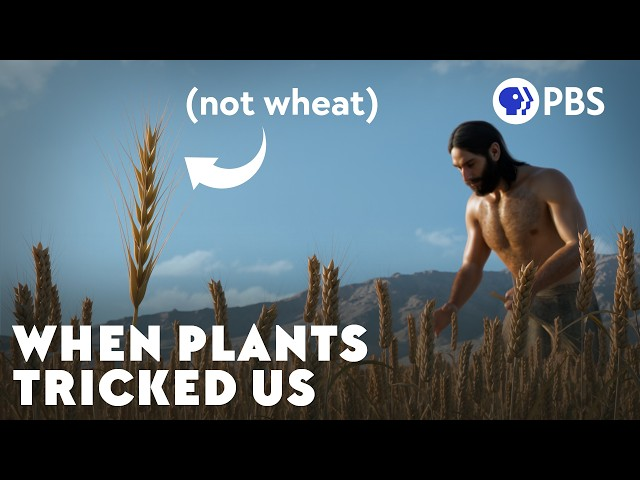 PBS Eons: When Ancient Weeds Fooled Us