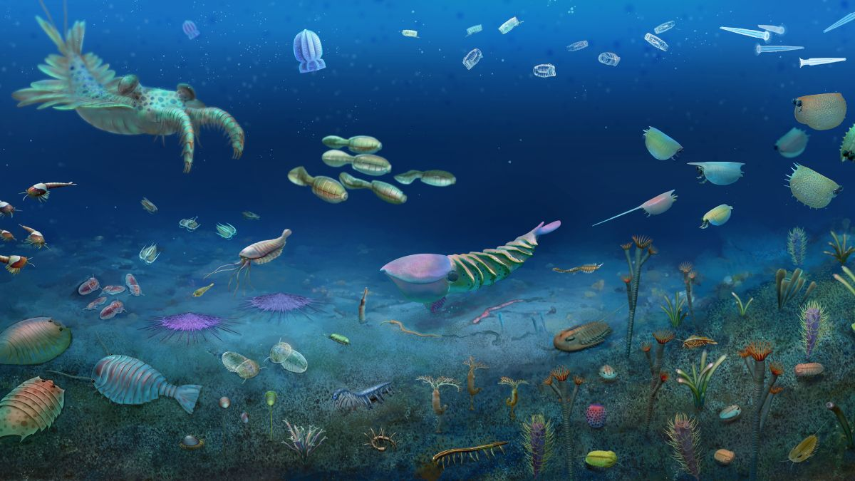 Stunning Fossil Site Reveals Life Rebounding After Major Extinction Event