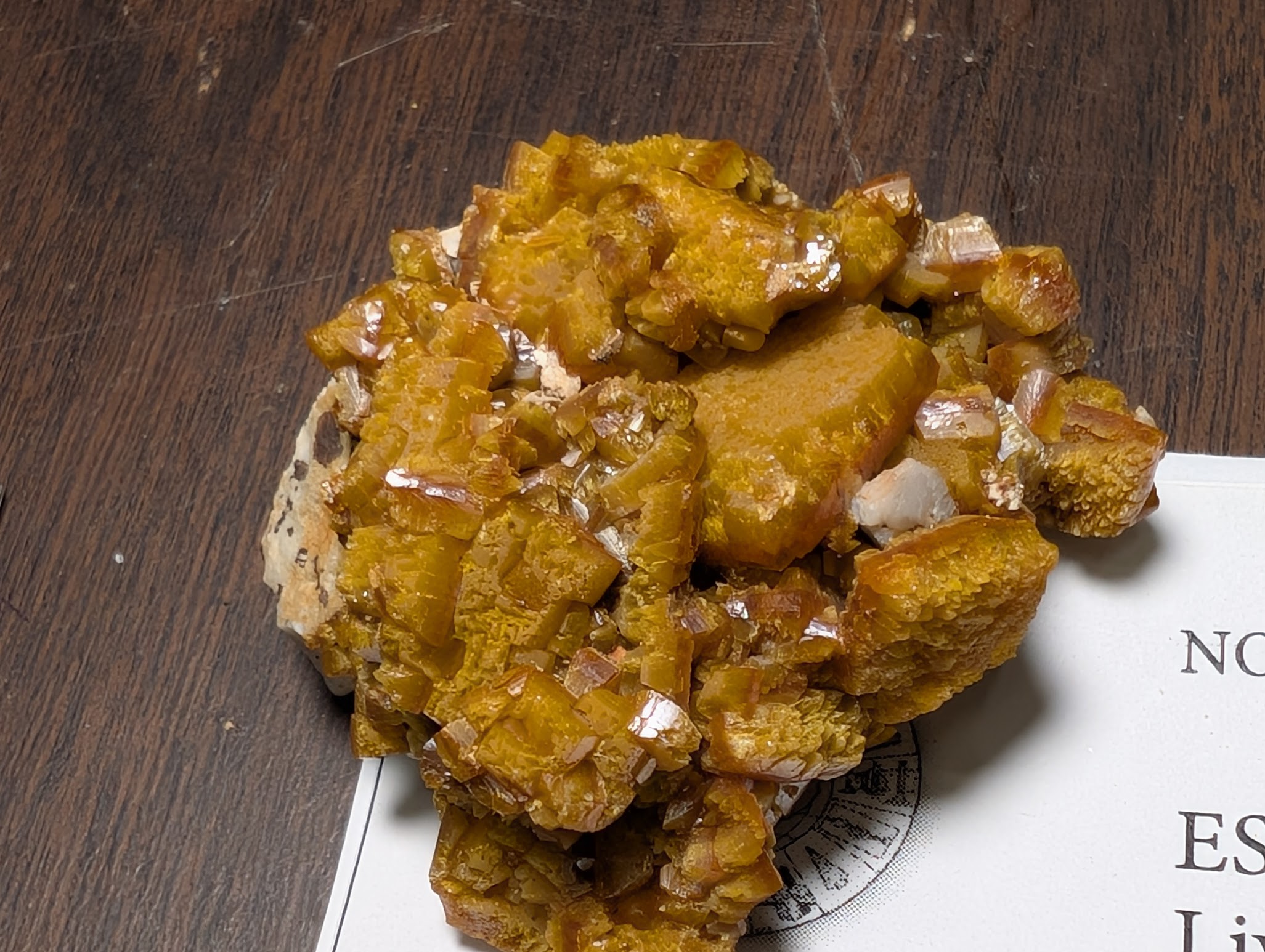 2026 ESCONI Gem, Mineral, and Fossil Show – Preview #17: Wulfenite from Yugoslavia