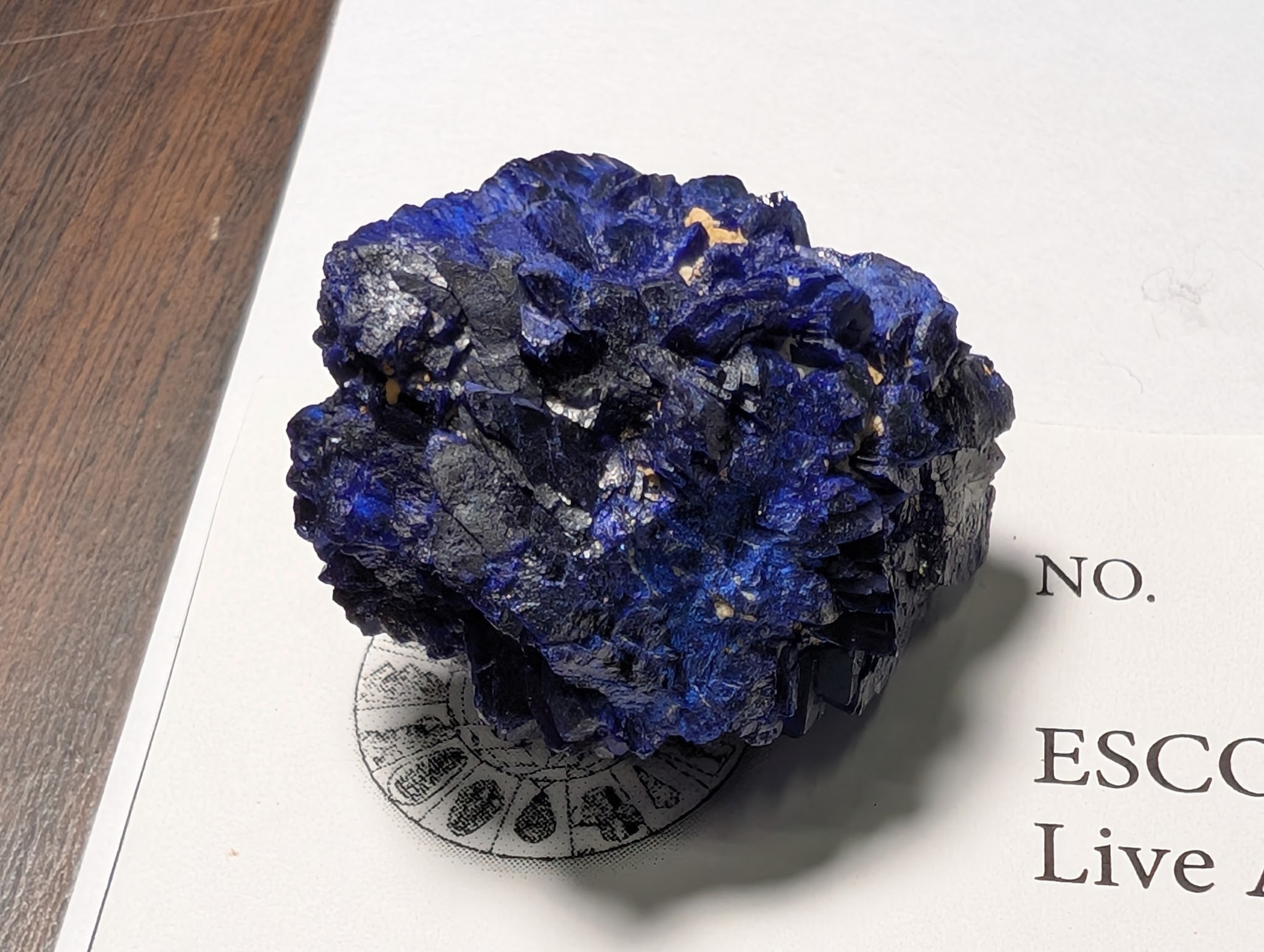 2026 ESCONI Gem, Mineral, and Fossil Show – Preview #26: Azurite from the Daye District, Ezhou Prefecture, Hubei Province, China
