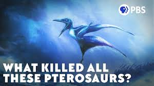 PBS Eons: Did Ancient Storms Kill These Pterosaurs?