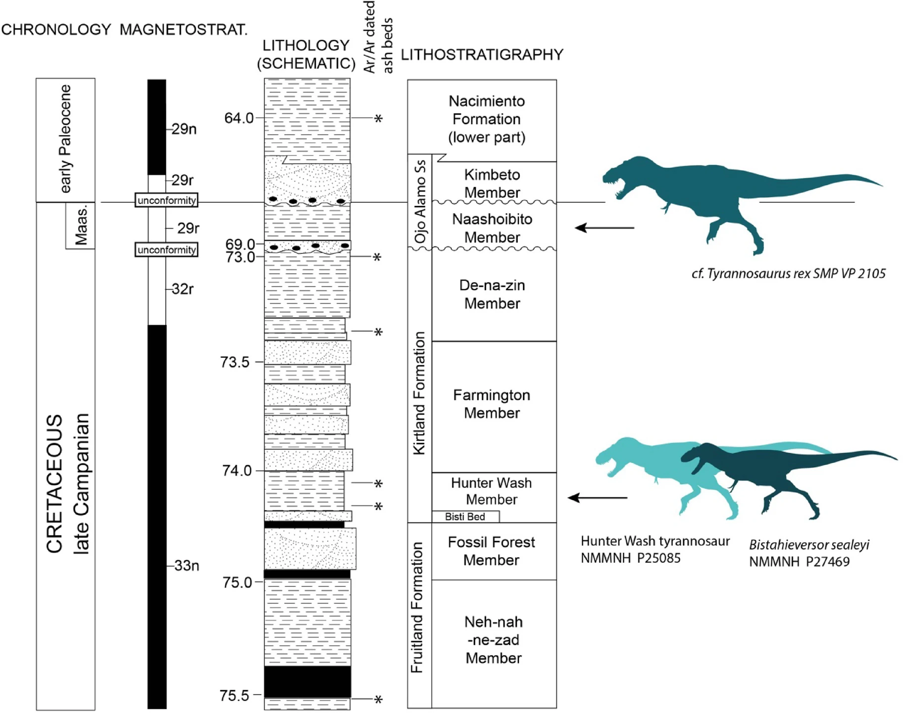 A large tyrannosaurid from the Late Cretaceous (Campanian) of North America