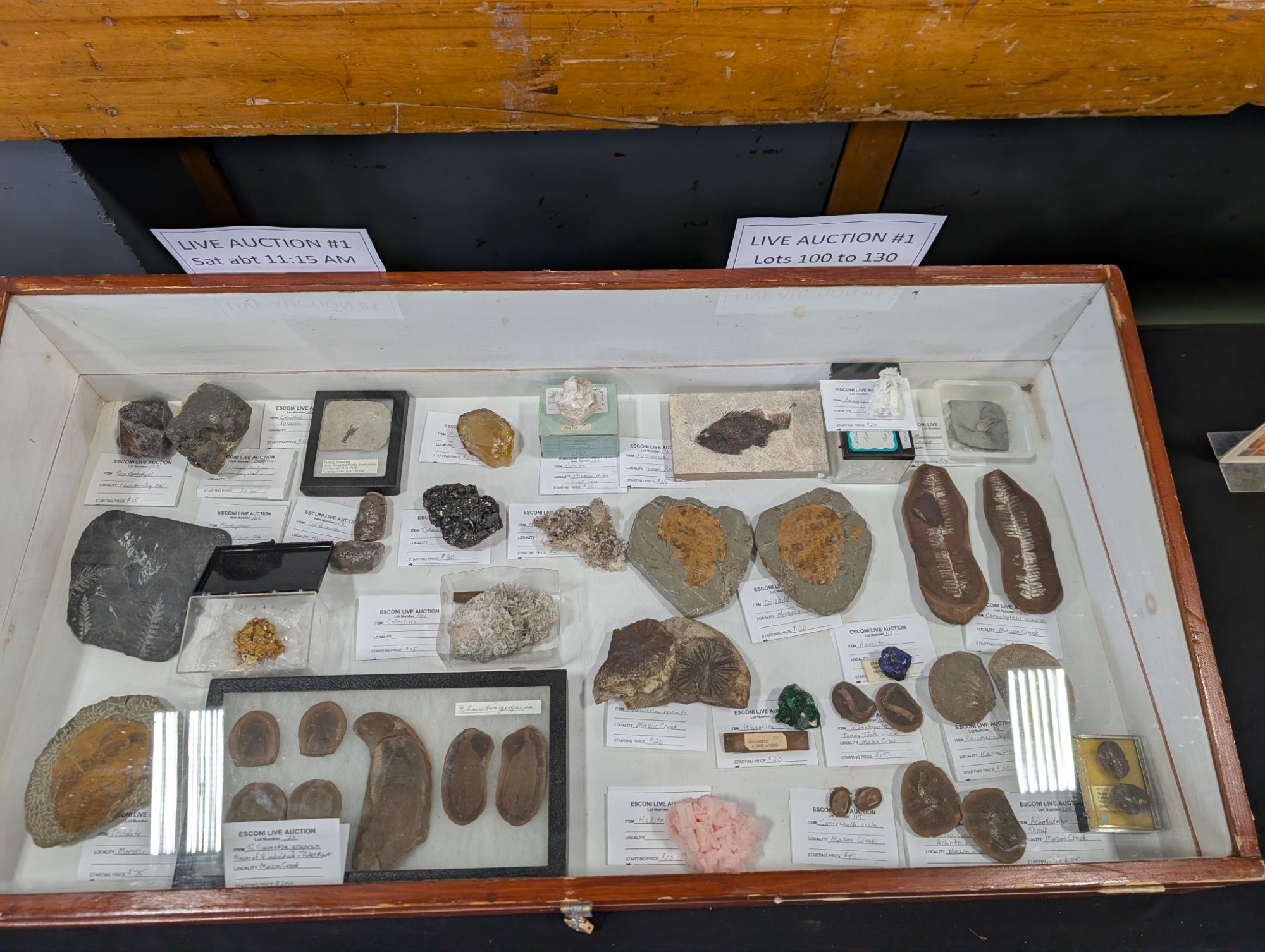 ESCONI Gem, Mineral, and Fossil Auction Items