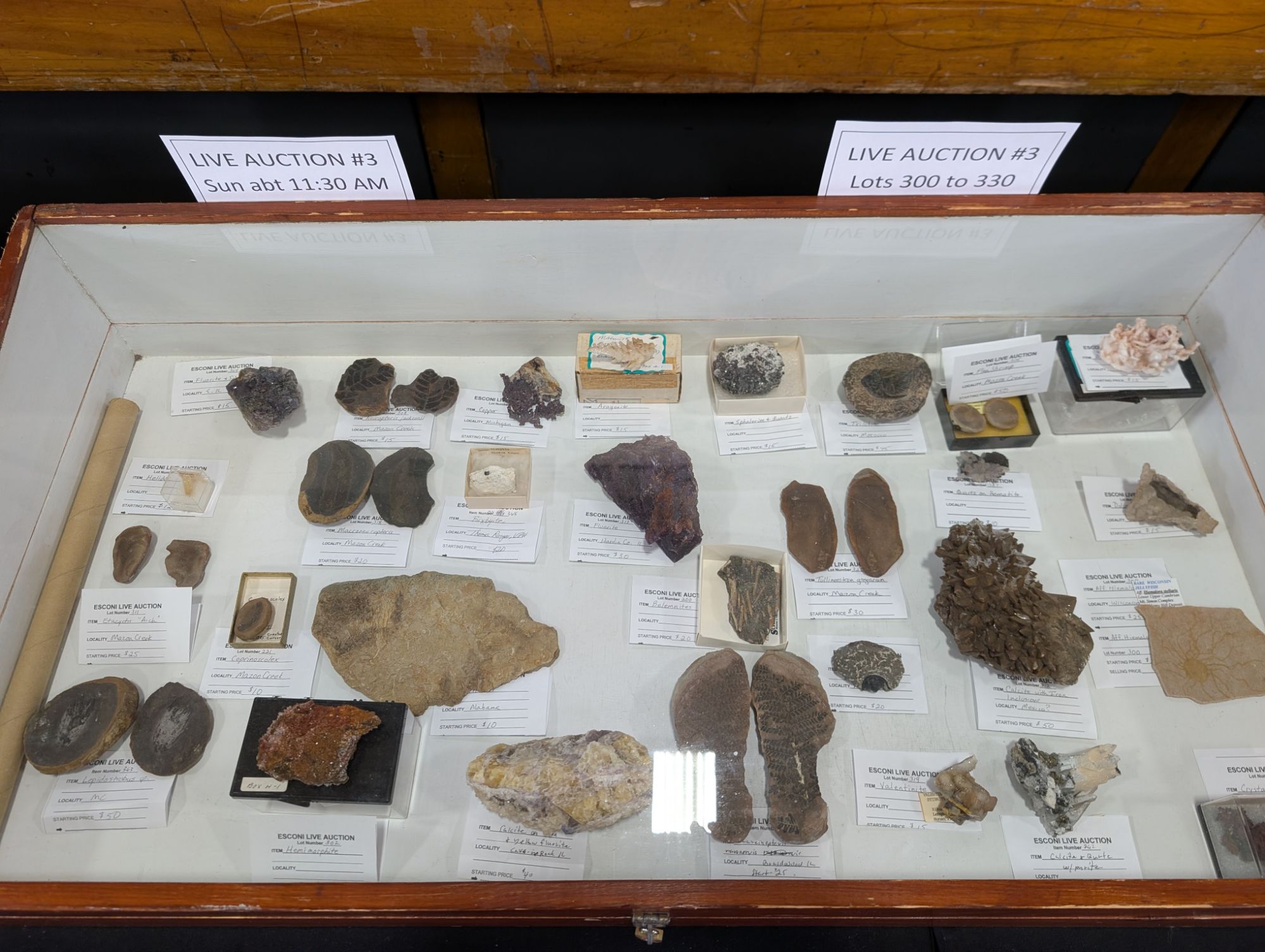 Live Auction Items For Sunday