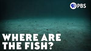 PBS Eons: The Mystery of the Missing Deep-Sea Fish