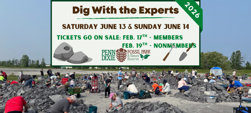 Trilobite Tuesday #50: Penn Dixie: Dig With the Experts 2026 – June 13th and 14th, 2026