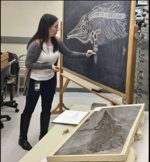 ESCONI June 2026 General Meeting, Friday, June  12th, 2026 at 8:00 PM via Zoom – “At the Intersection of Art and Science: Outreach in Natural HistoryMuseums”