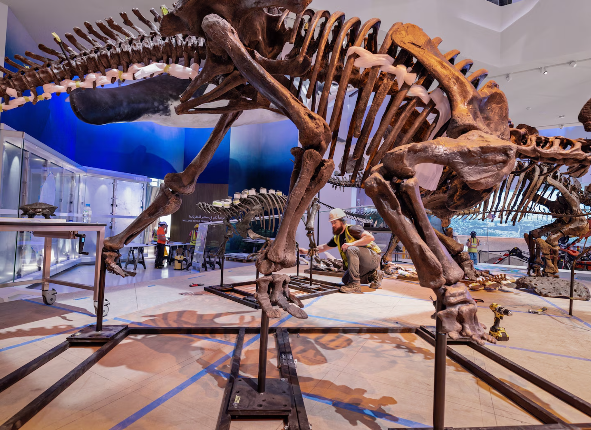 Inside the making of the world’s most modern natural history museum