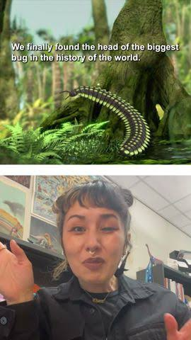 PBS Eons: We found the head of the biggest bug ever