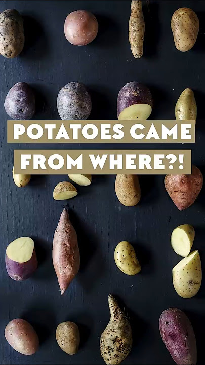 PBS Eons: The potato’s origin was a mystery…until now