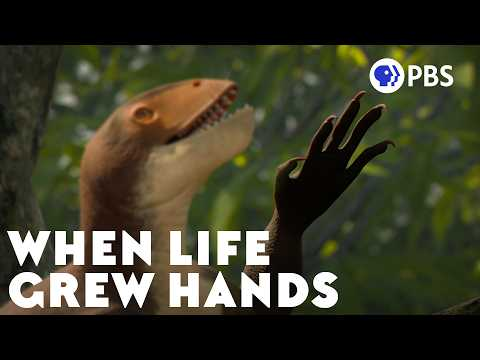PBS Eons: What Drove Life Into The Trees?