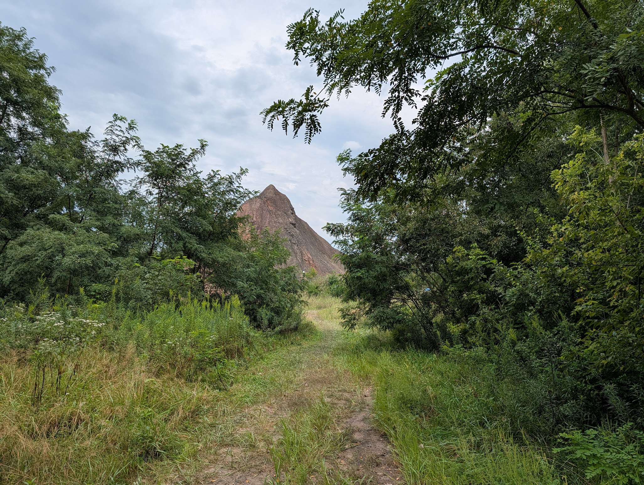 Mazon Monday #339: Braceville Fall 2026 Field Trip Report