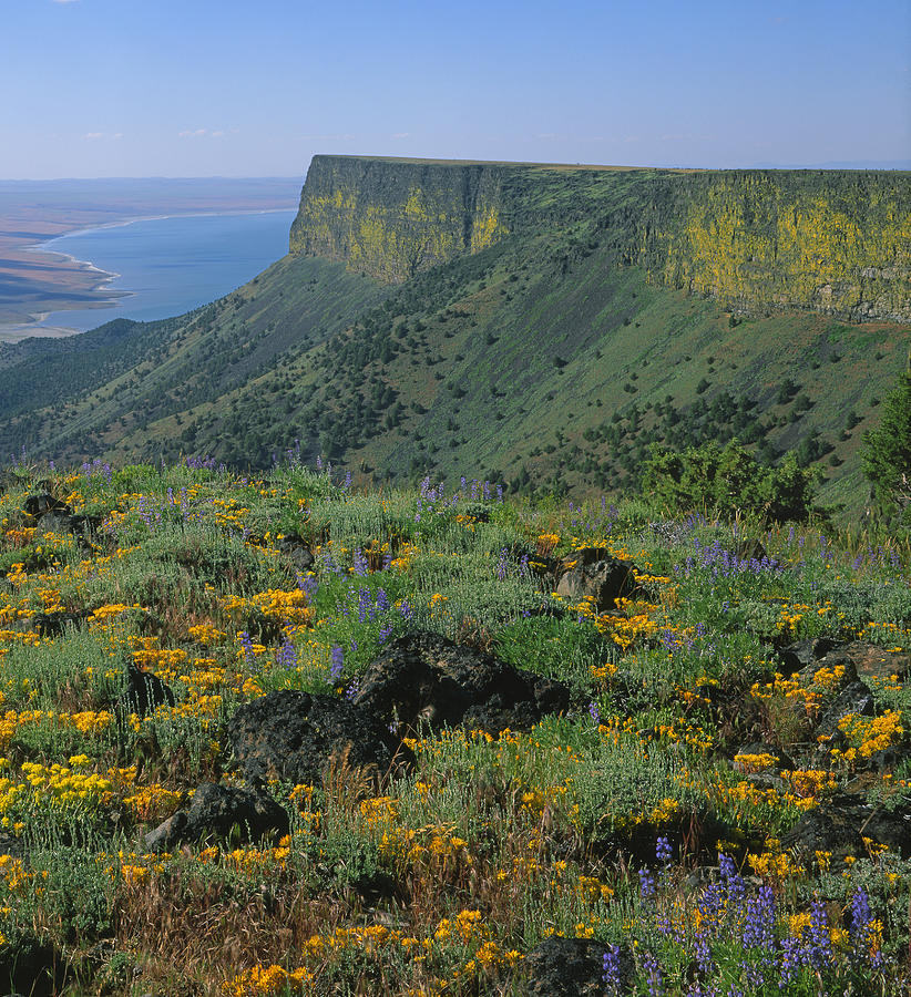 Throwback Thursday #336: Vacation Trip to Oregon