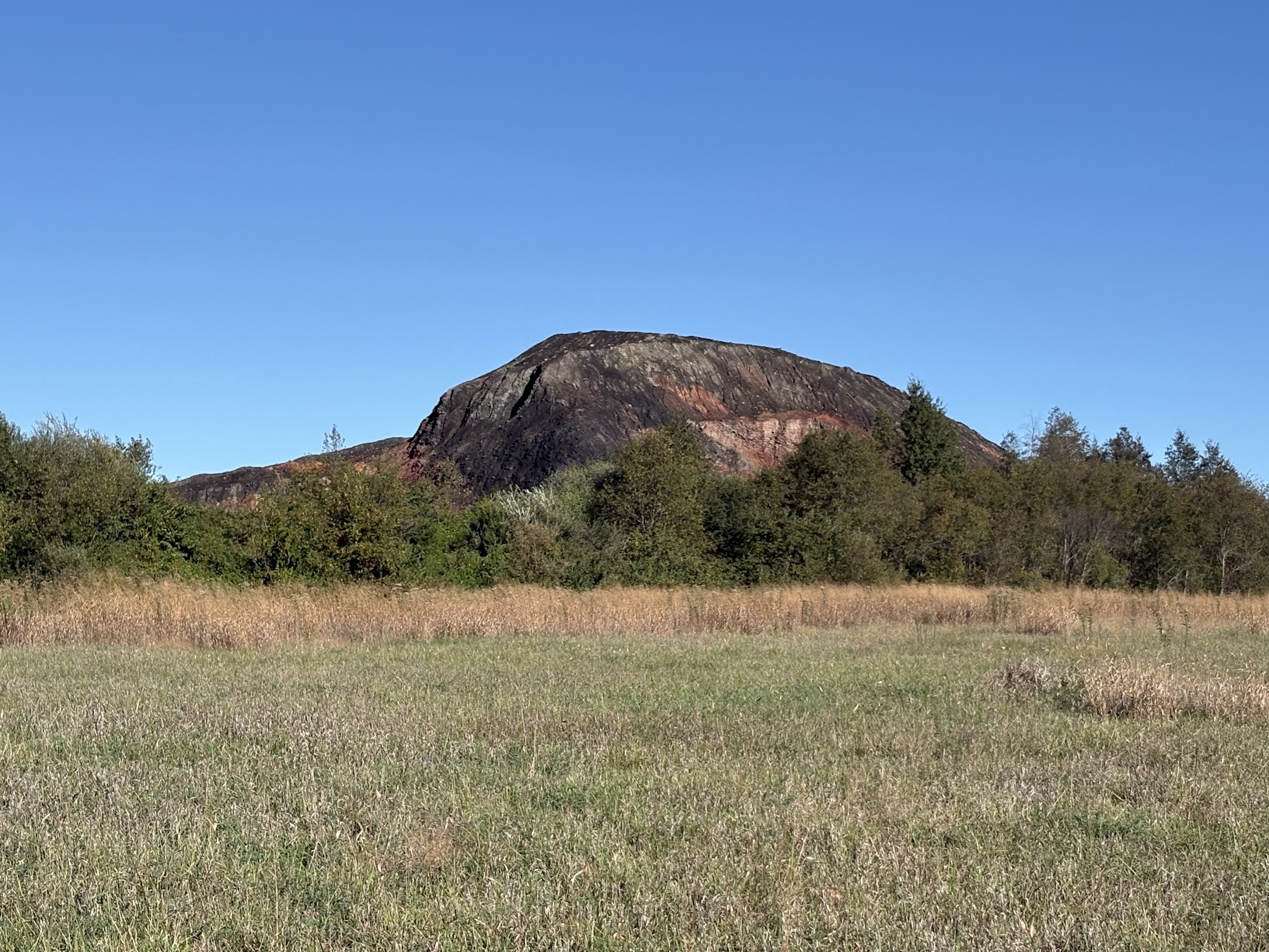 Mazon Monday #345: Danville Field Trip Report