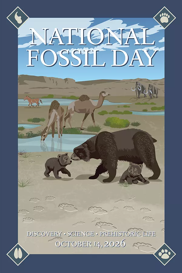 Happy National Fossil Day!